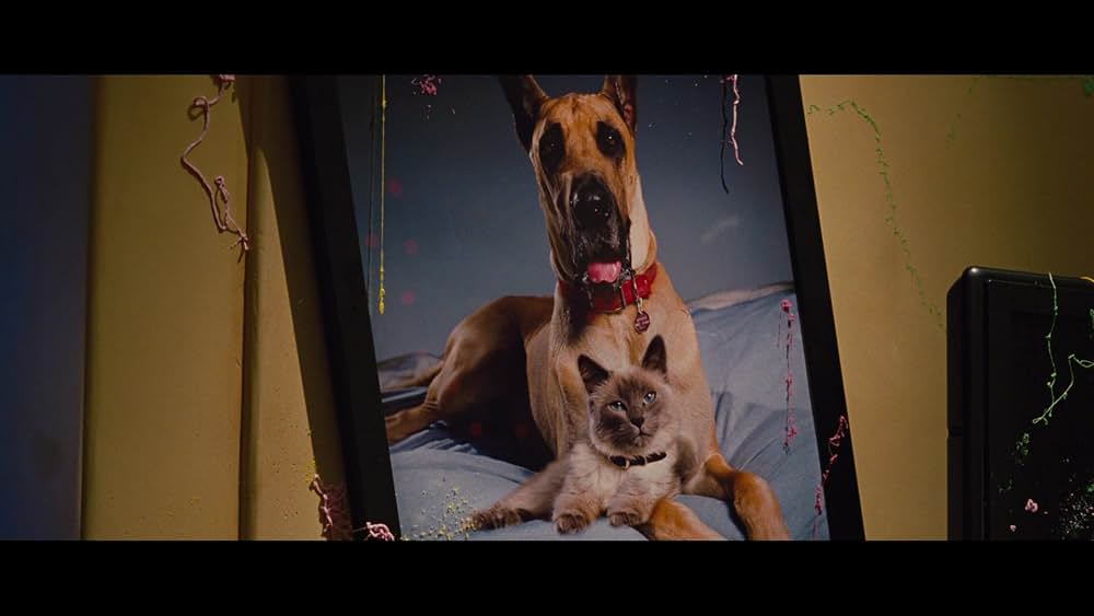 サーフィン ドッグの画像