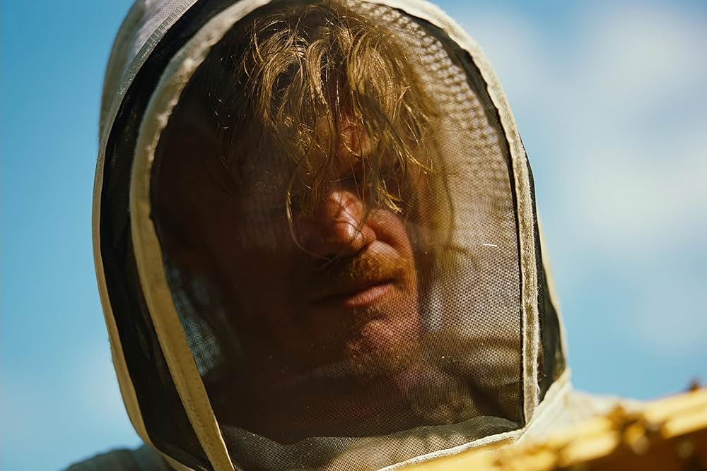 ブゴニアの画像