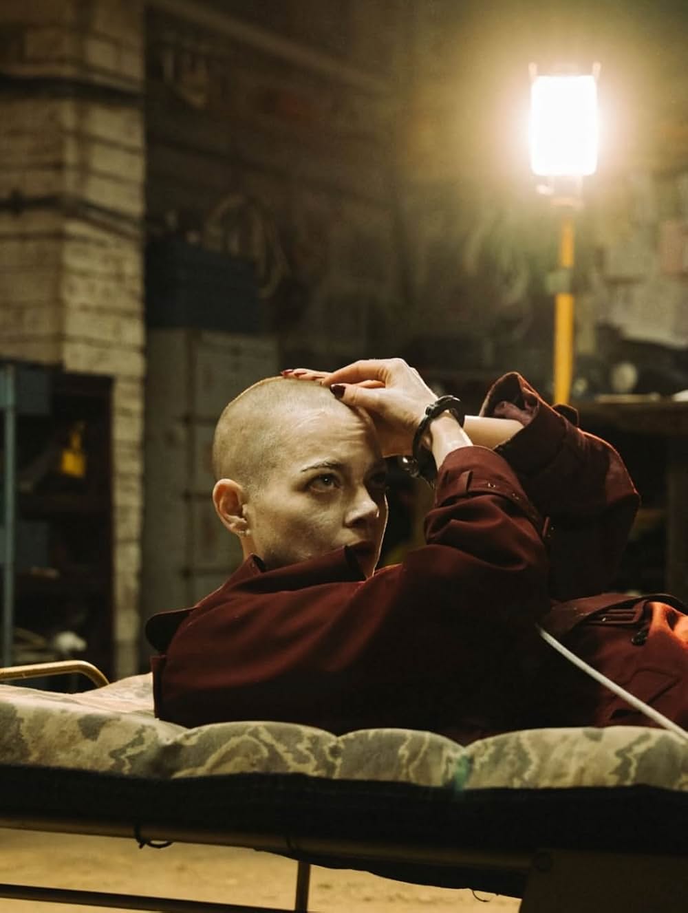 ブゴニアの画像