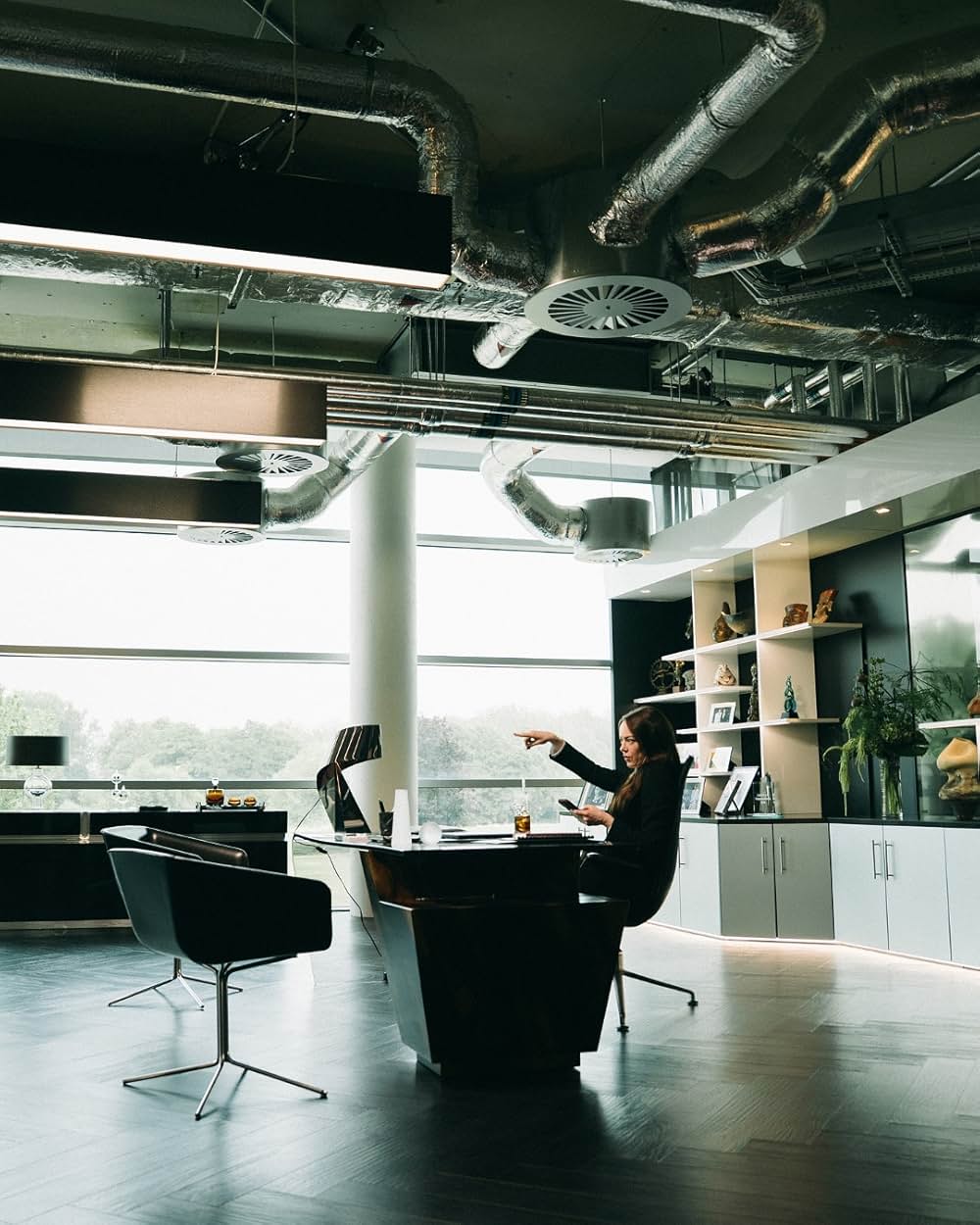 ブゴニアの画像