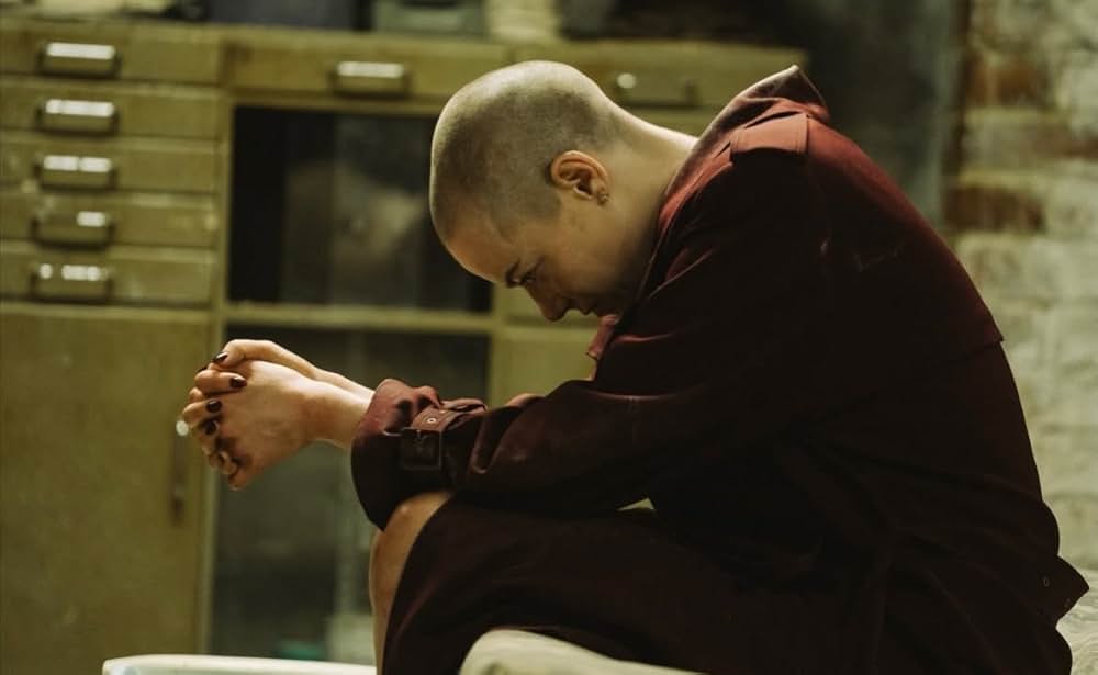 ブゴニアの画像