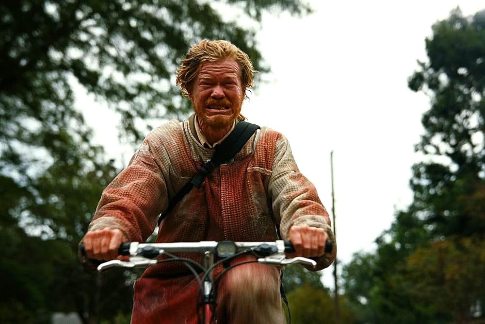 ブゴニアの画像