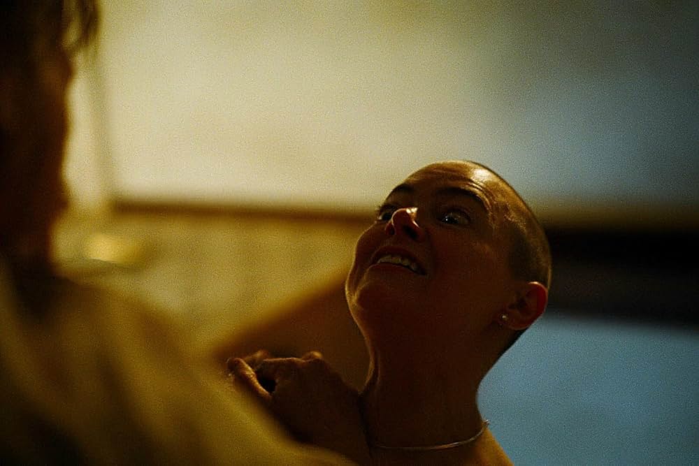 ブゴニアの画像