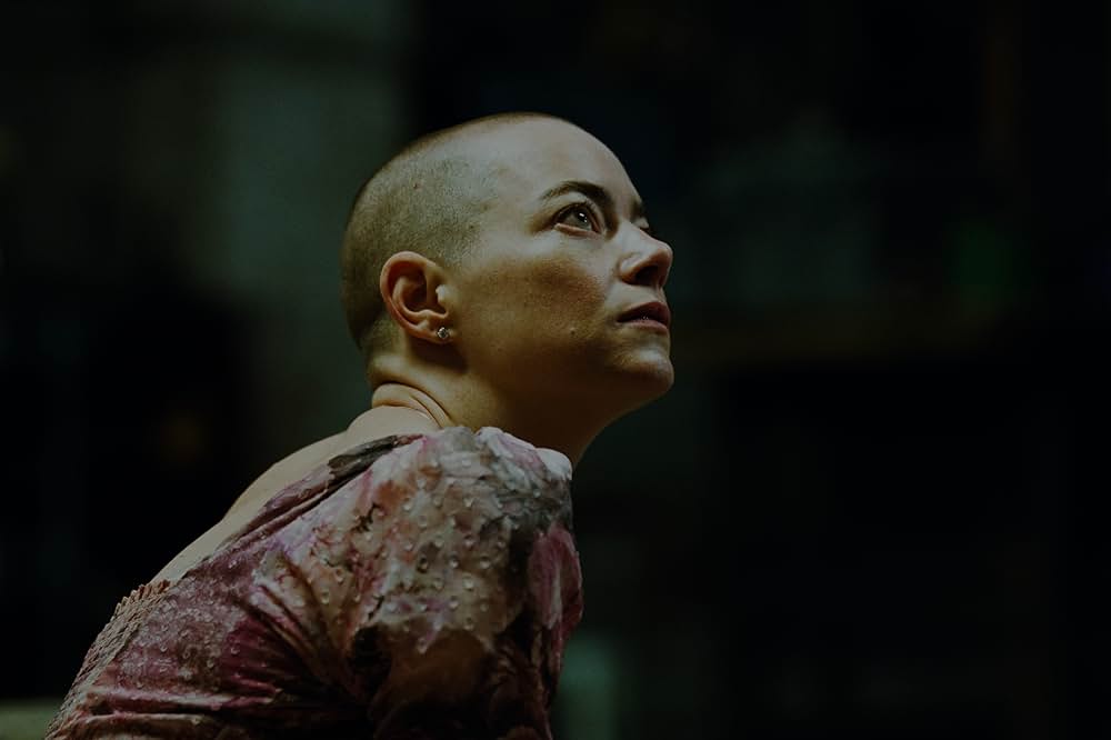 ブゴニアの画像