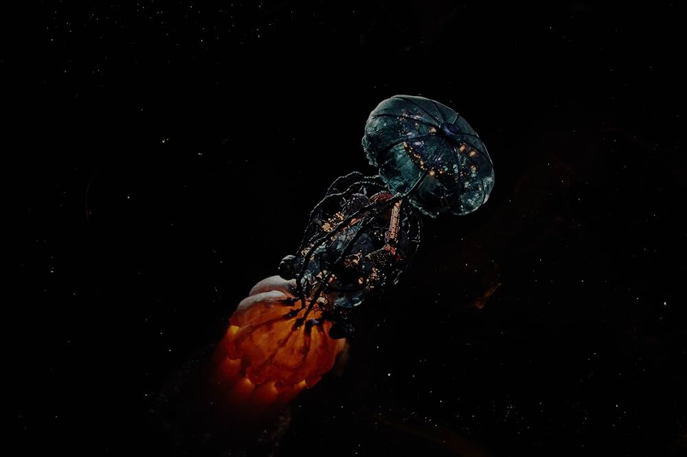 ブゴニアの画像