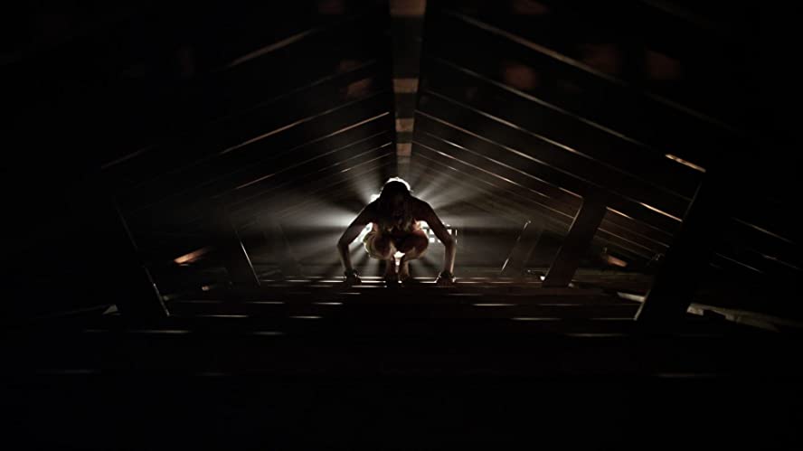 バチカン・テープの画像