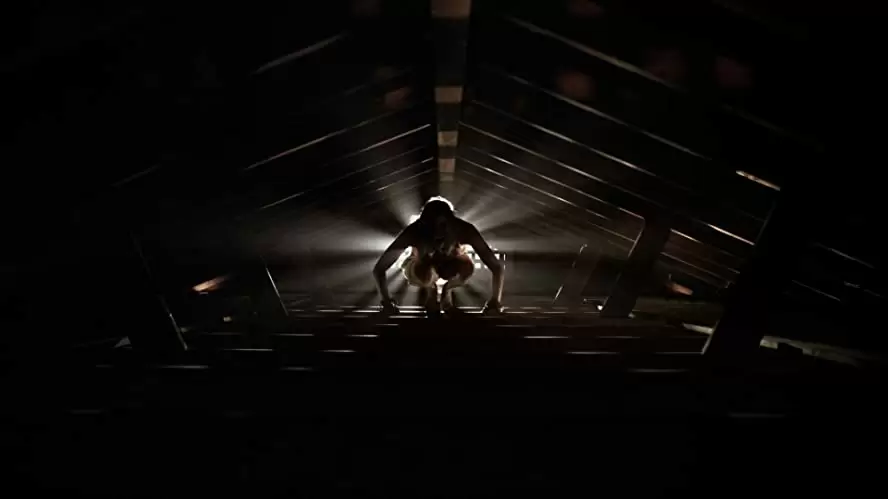 バチカン・テープの画像