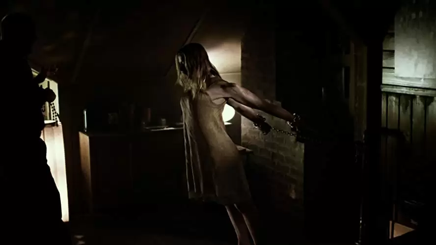 バチカン・テープの画像