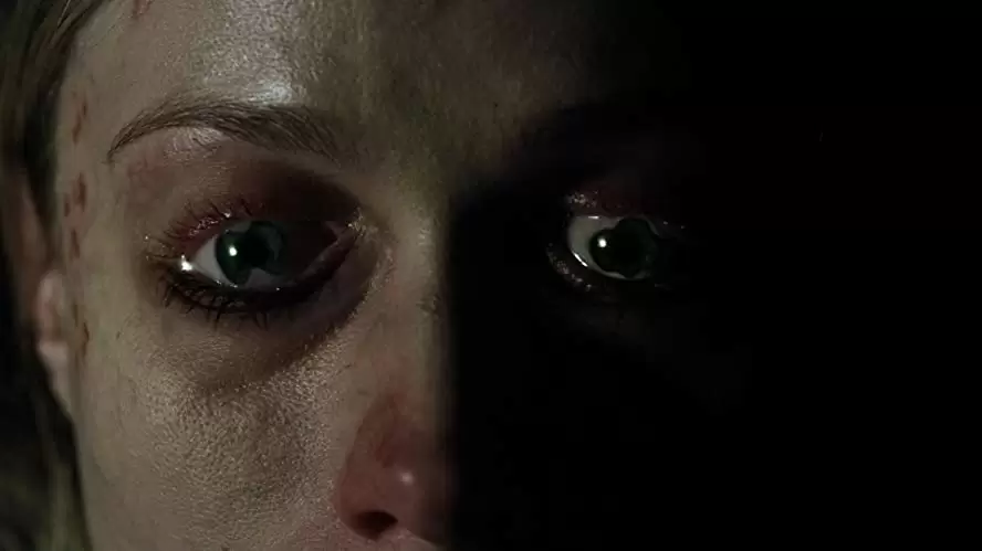 バチカン・テープの画像