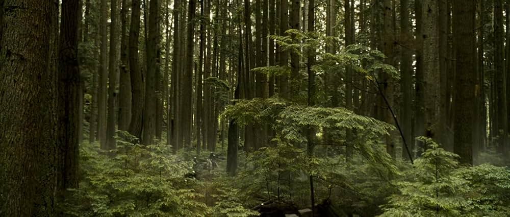 デス・リベンジの画像