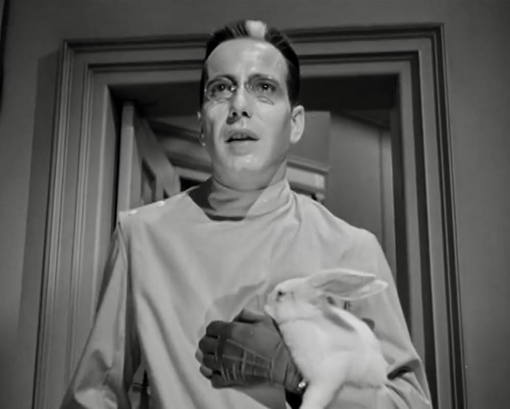 ドクターＸの帰還の画像