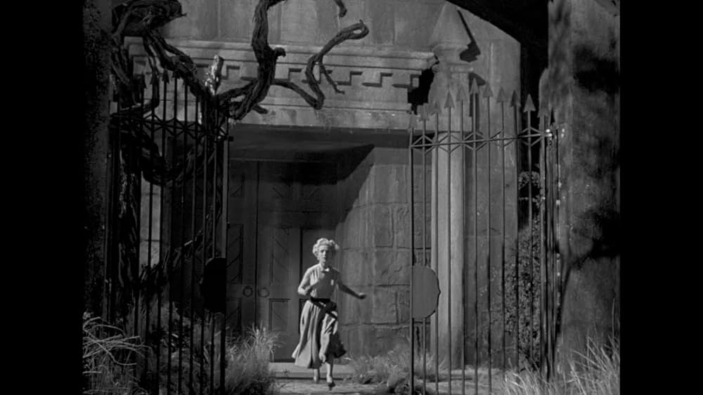 The Maze（原題）の画像