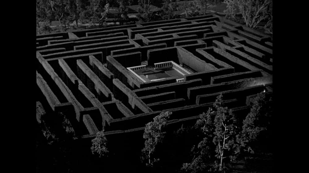 The Maze（原題）の画像