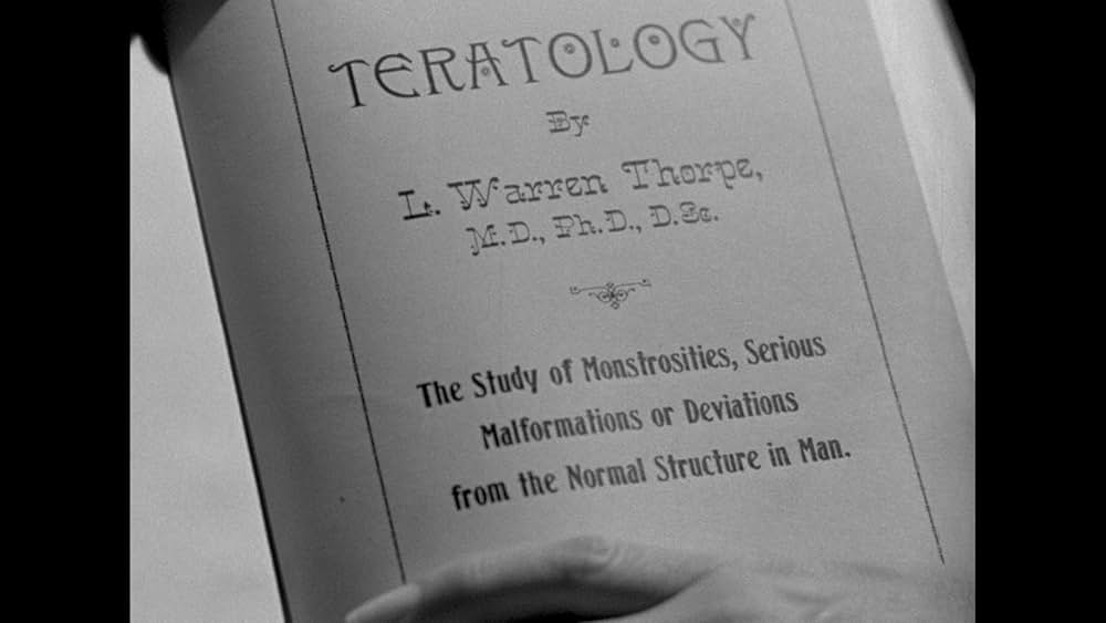 The Maze（原題）の画像