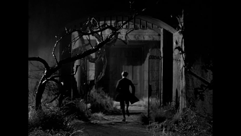 The Maze（原題）の画像