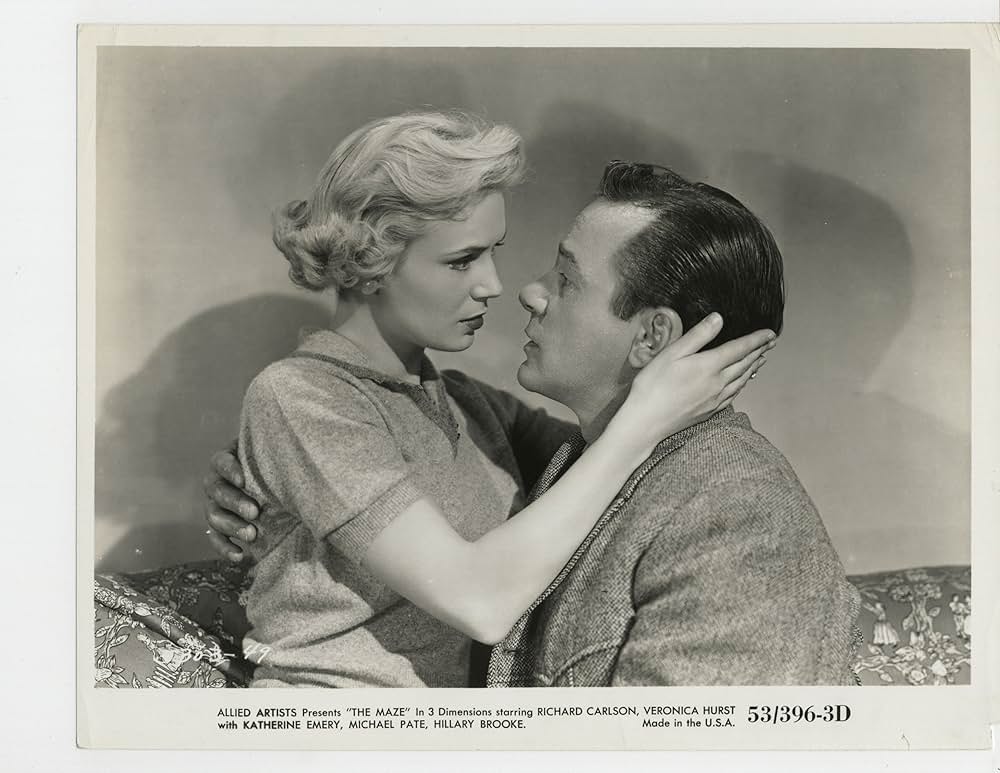 The Maze（原題）の写真