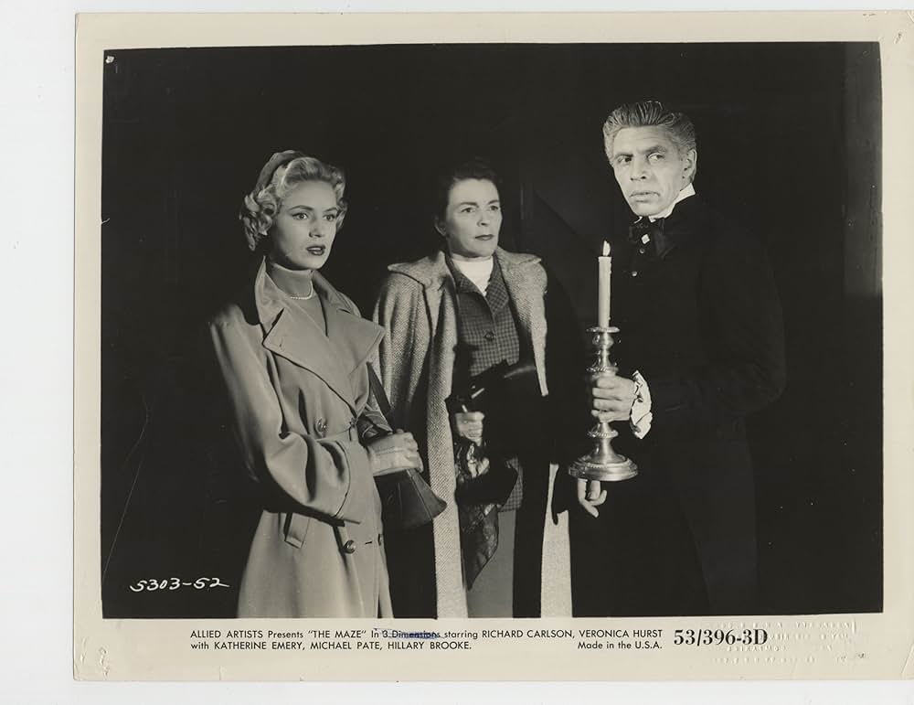 The Maze（原題）の画像