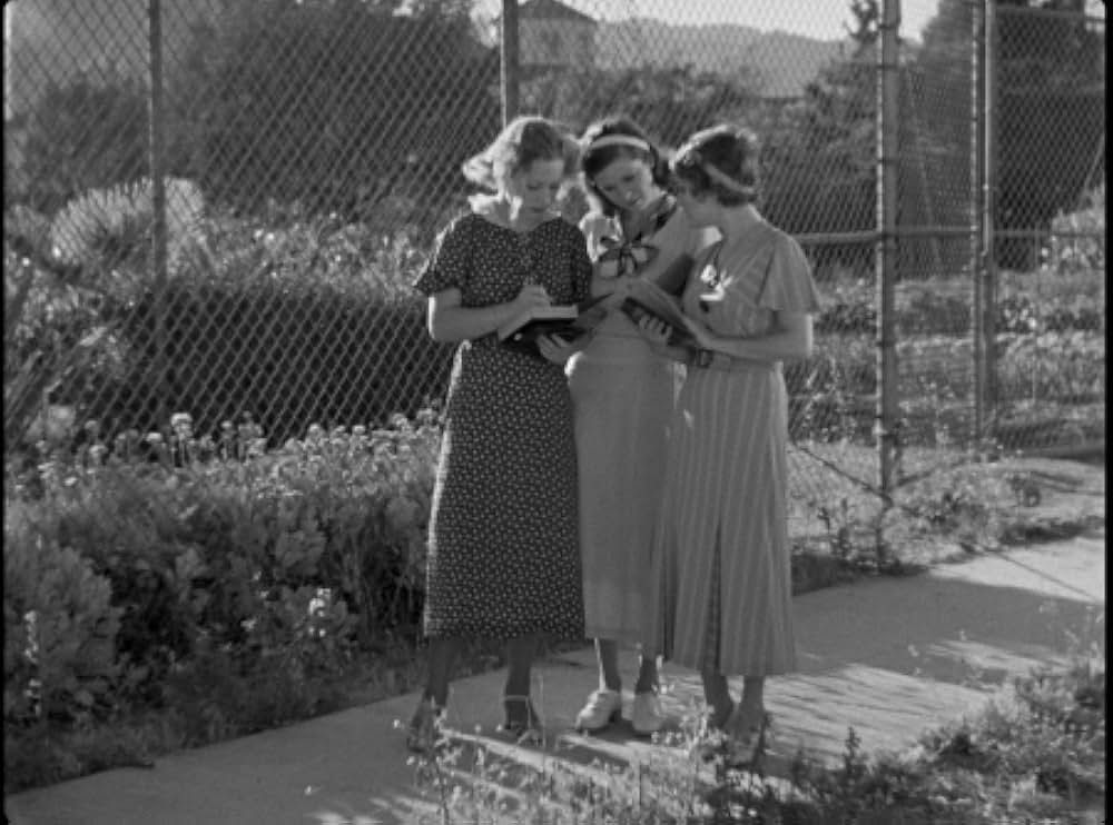 破滅への道の画像