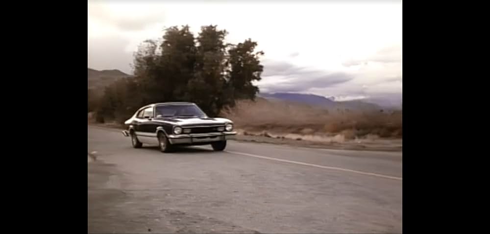 Blazing Stewardesses（原題）の画像