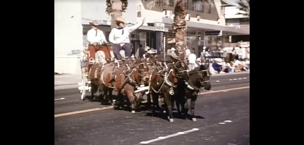 Blazing Stewardesses（原題）の画像