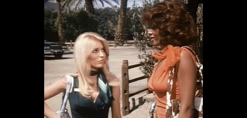 Blazing Stewardesses（原題）の画像