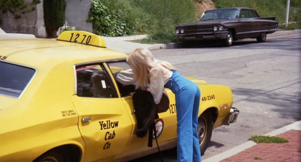 Blazing Stewardesses（原題）の画像