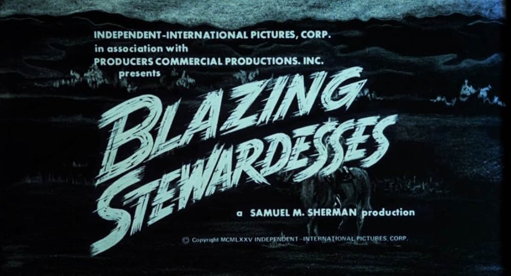 Blazing Stewardesses（原題）の画像