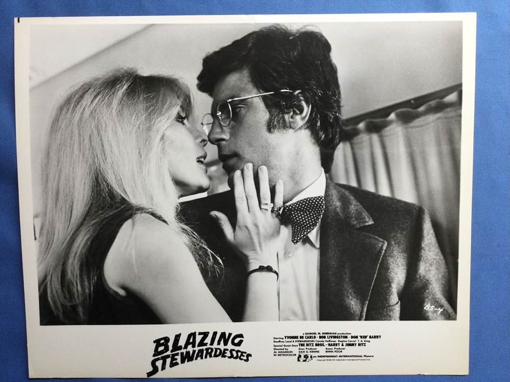 Blazing Stewardesses（原題）の画像