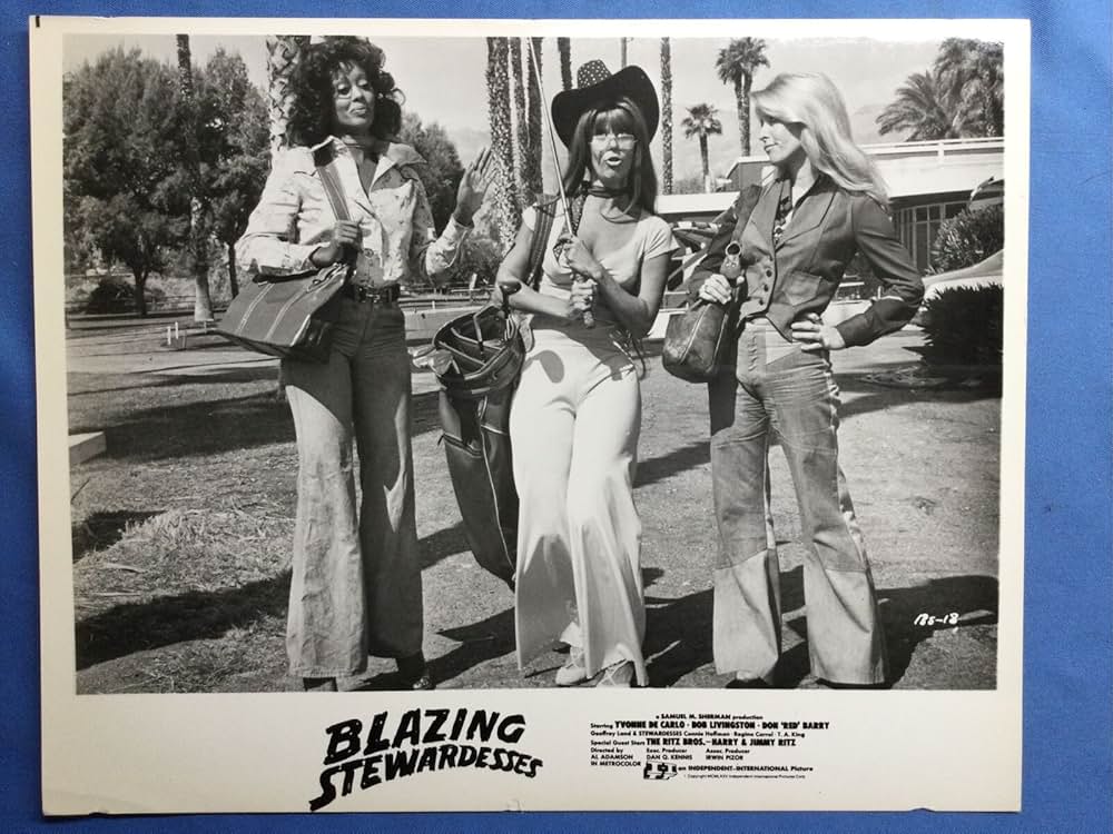 Blazing Stewardesses（原題）の画像