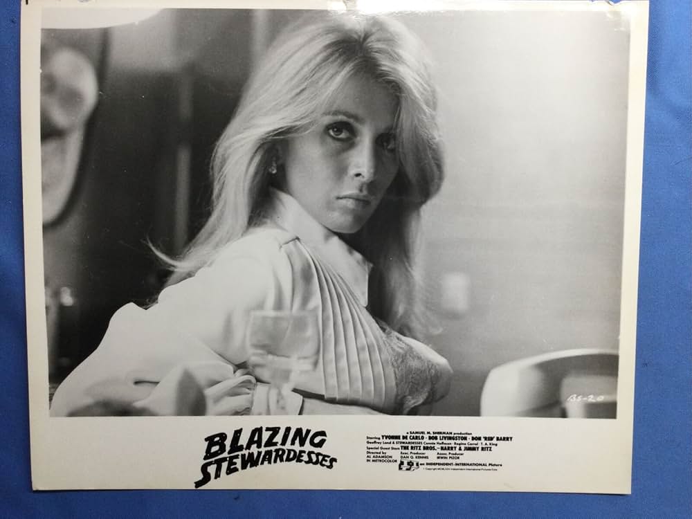 Blazing Stewardesses（原題）の画像