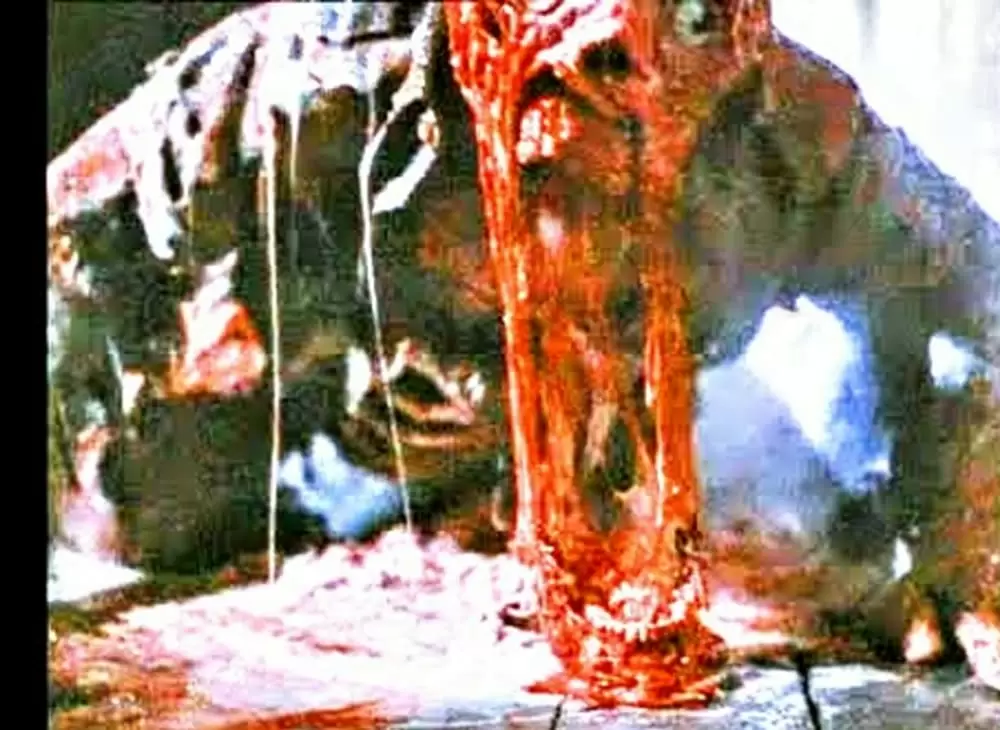 13日の金曜日／ジェイソンの命日の画像