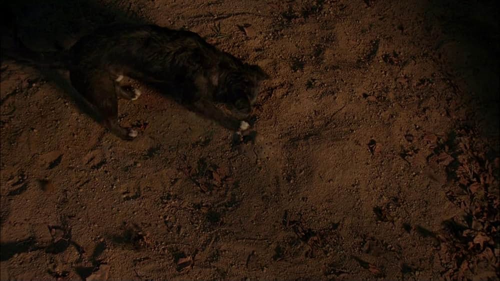 13日の金曜日／ジェイソンの命日の画像