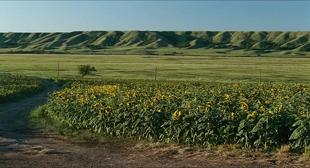 ゴーストハウスの画像