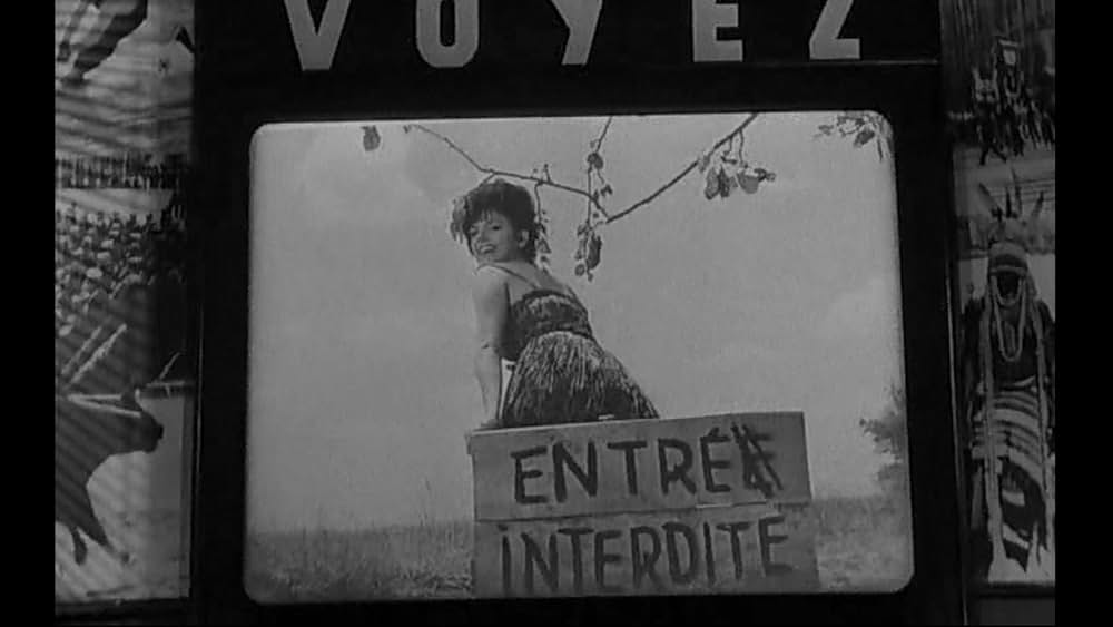 Tout l'or du monde（原題）の画像