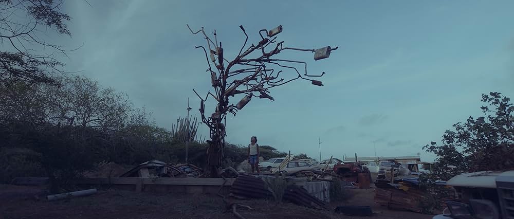 ケンザの瞳の画像