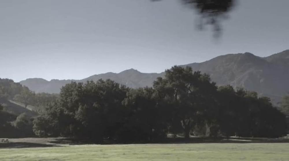 ホローズ・グローブの画像