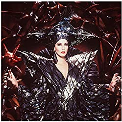 ネバーエンディング・ストーリー第2章の画像