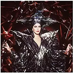 ネバーエンディング・ストーリー第2章の画像