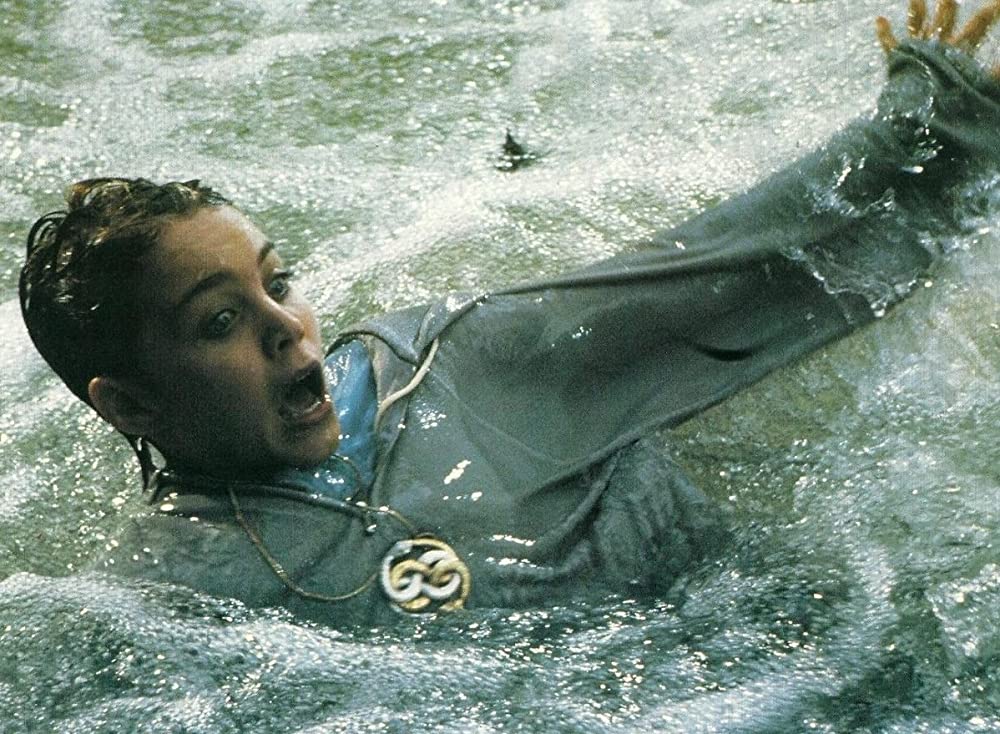 ネバーエンディング・ストーリー第2章の画像