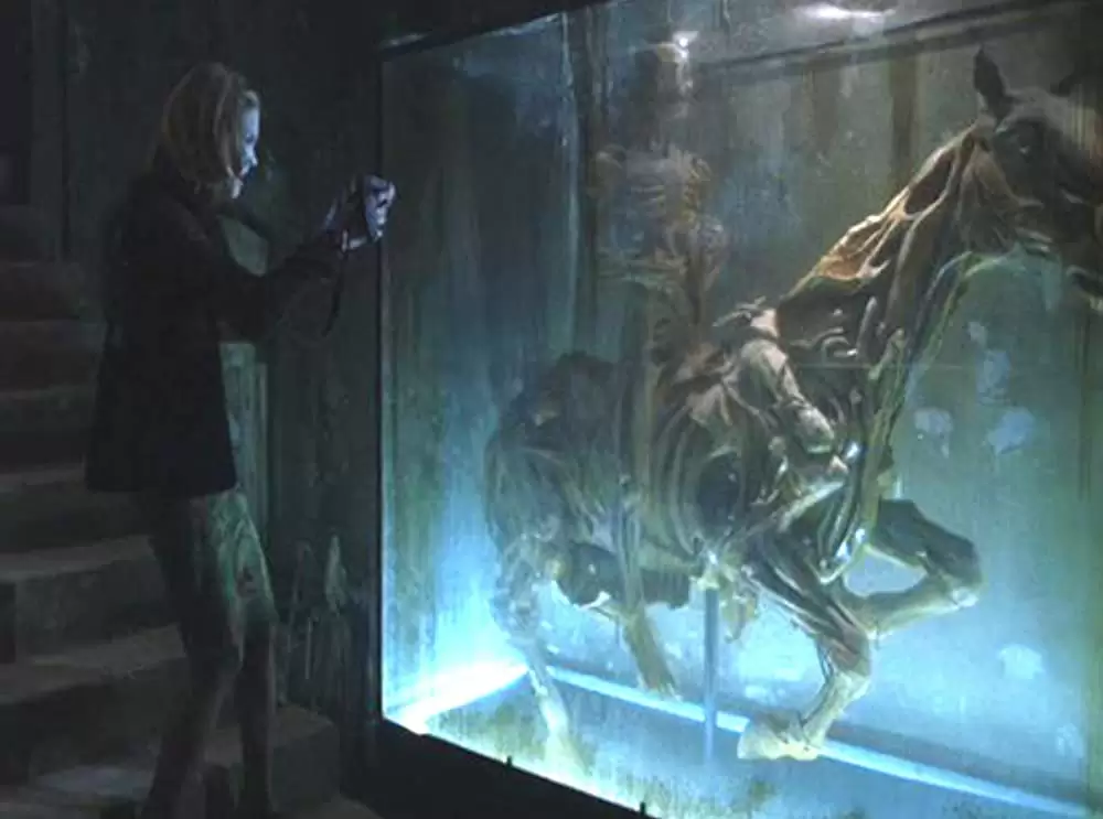 「TATARI タタリ」ブリジット・ウィルソン＝サンプラスの画像