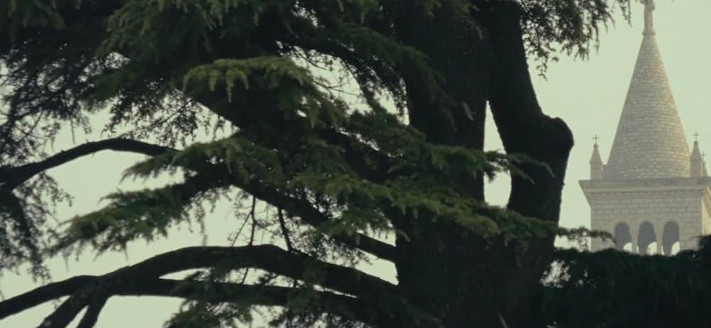 Marshmallow（原題）の画像