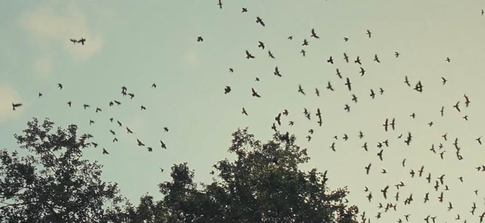 Marshmallow（原題）の画像