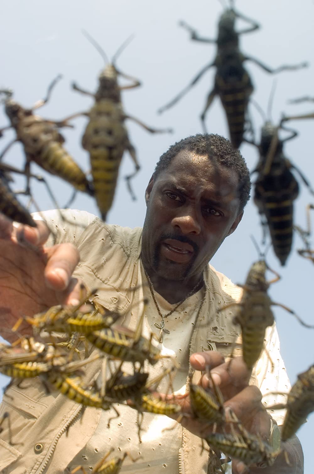 リーピングの画像