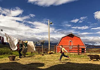 天才スピヴェットの画像