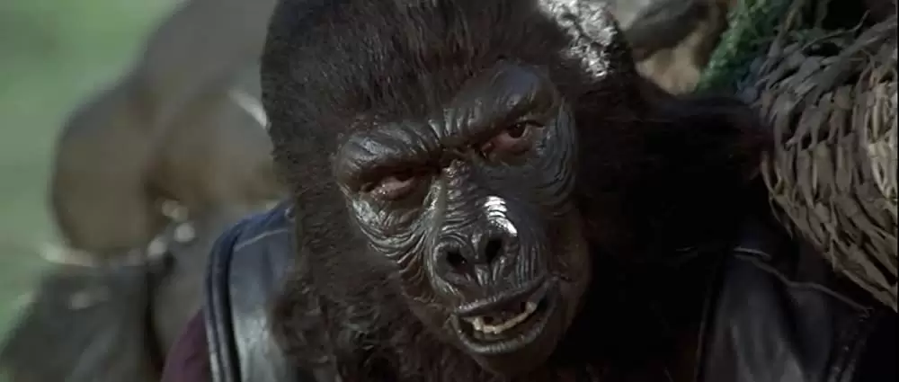 最後の猿の惑星の画像