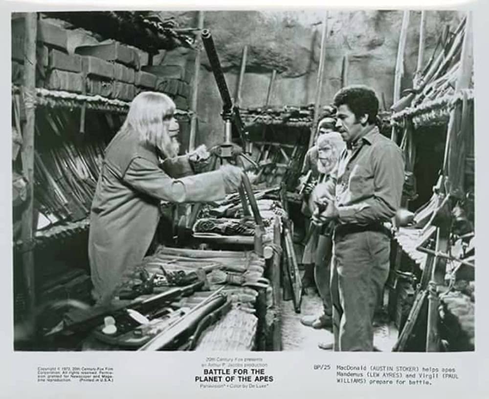 最後の猿の惑星の画像