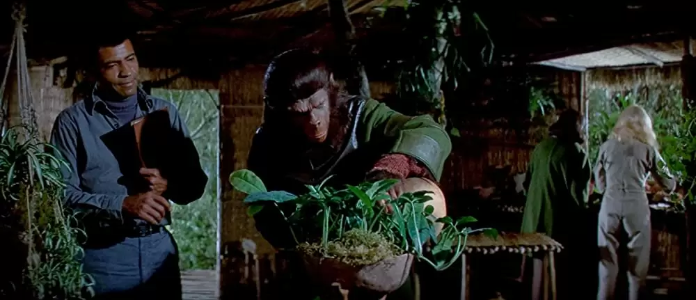 「最後の猿の惑星」ロディ・マクドウォール & コリーン・キャンプ & オースティン・ストーカー & ナタリー・トランディの画像