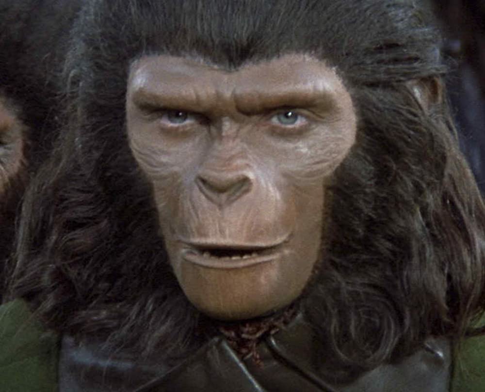 最後の猿の惑星の画像