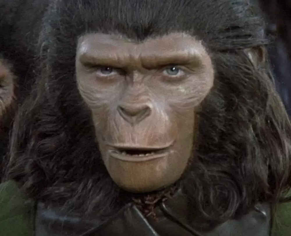 最後の猿の惑星の画像