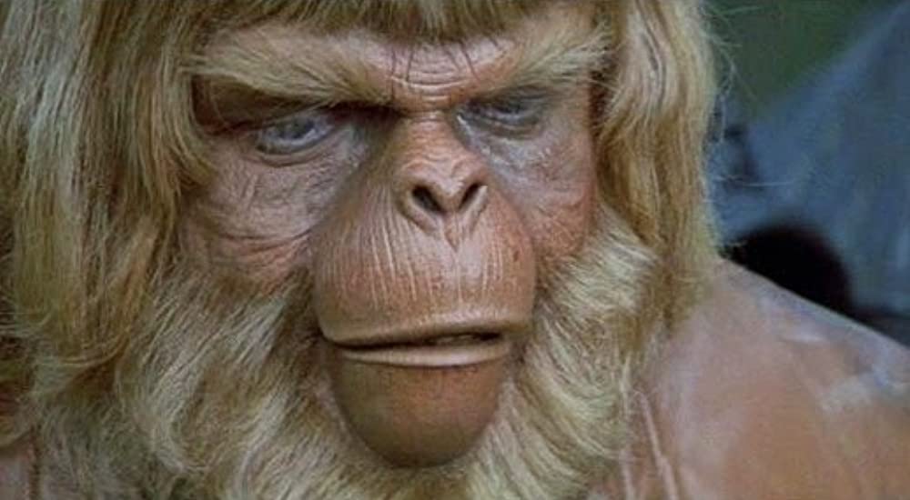 最後の猿の惑星の画像